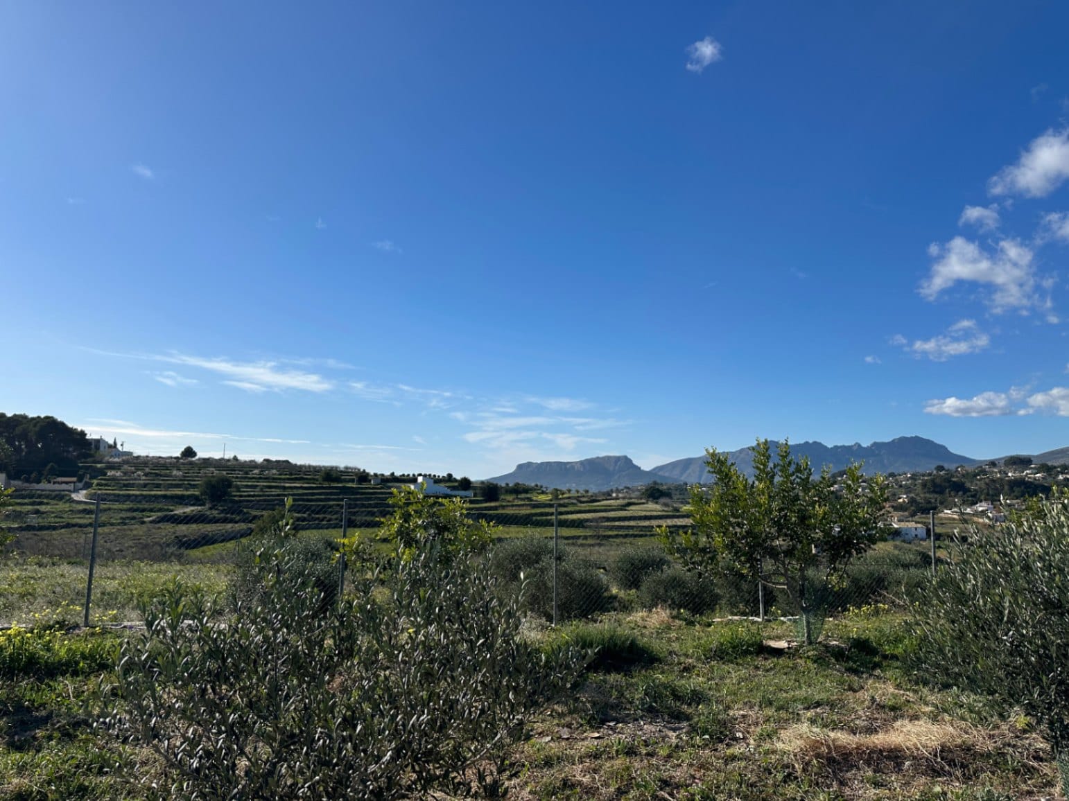 Parcela rústica con impresionantes vistas en Partida Berdica, Benissa