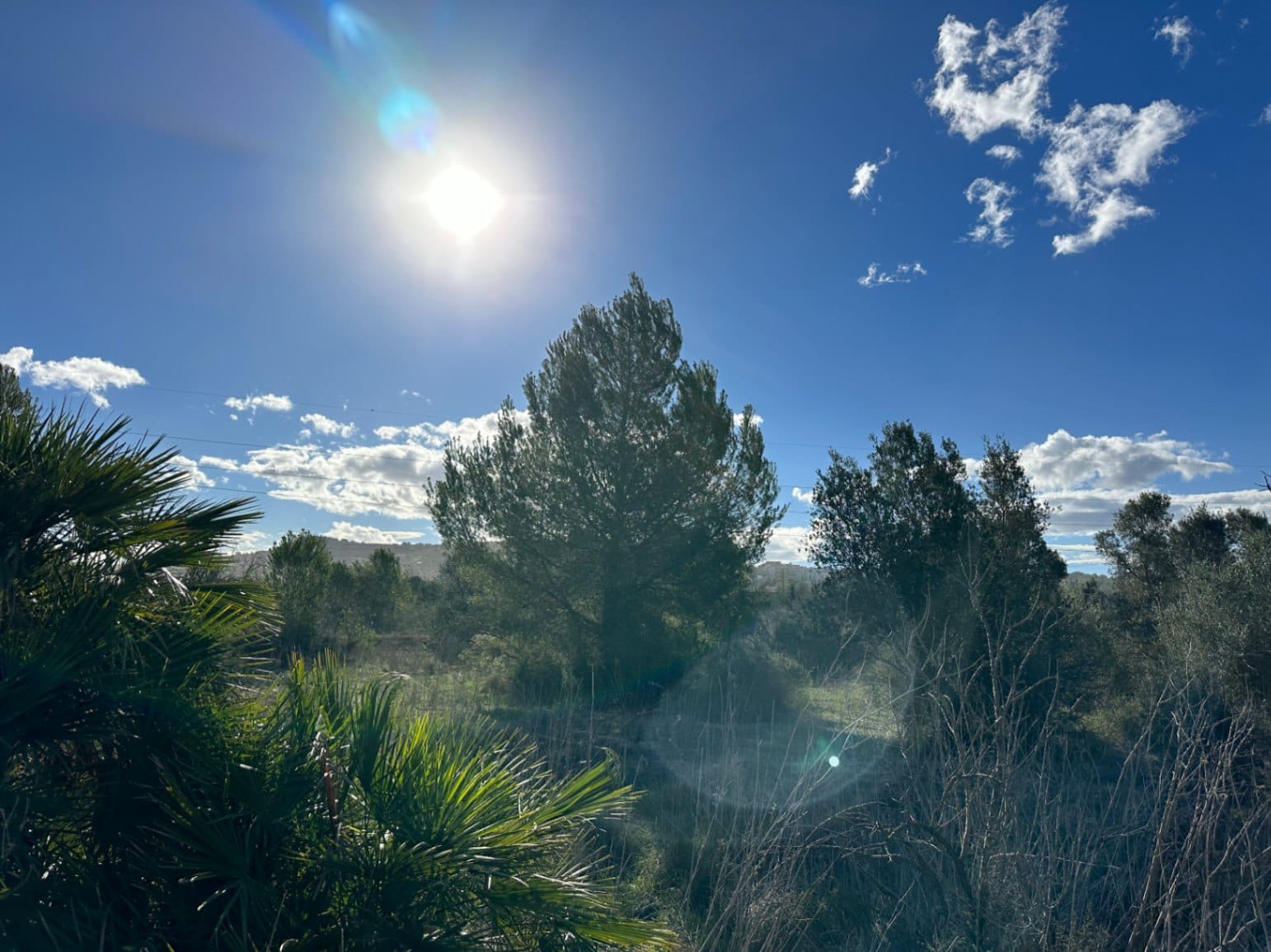 Finca en venta en Teulada