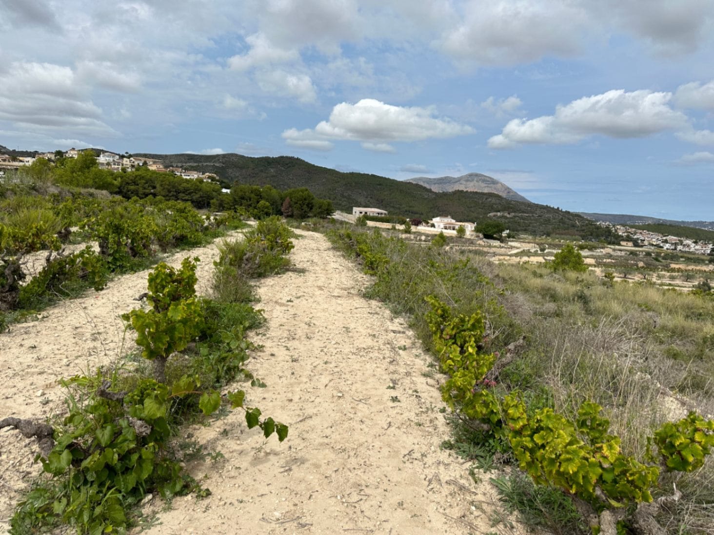 PARCELA CON VISTAS AL MAR EN BENITACHELL