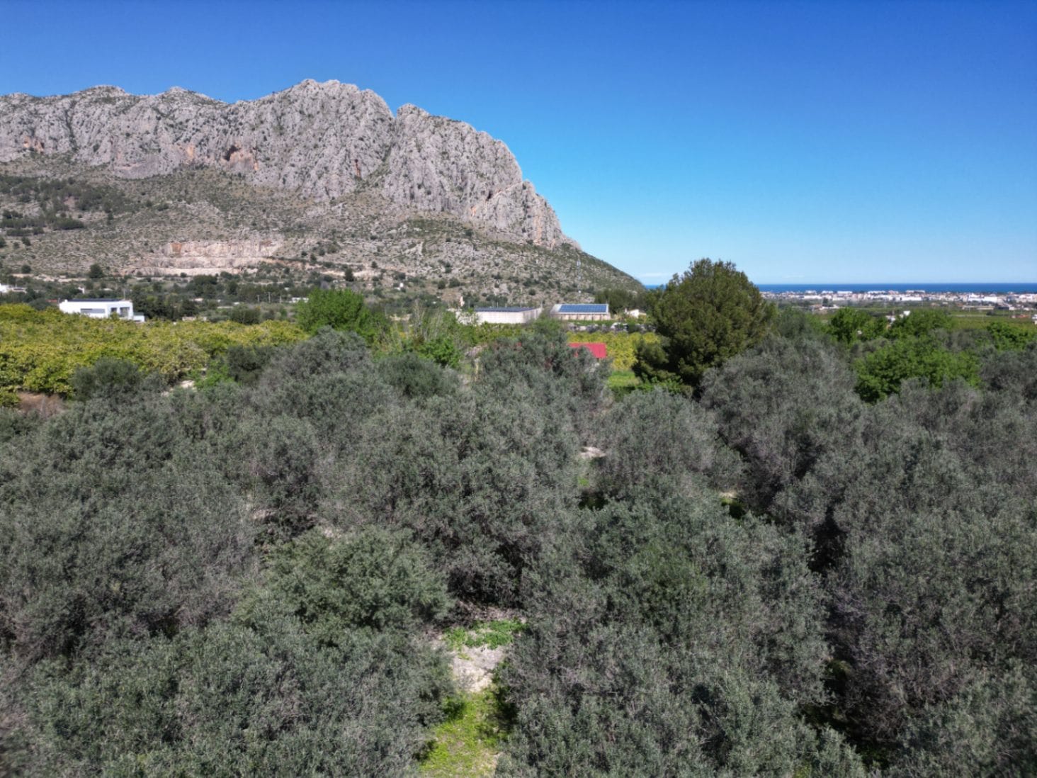 Terreno de Orange Grove en venta en Benidoleig – con potencial edificable y vistas impresionantes
