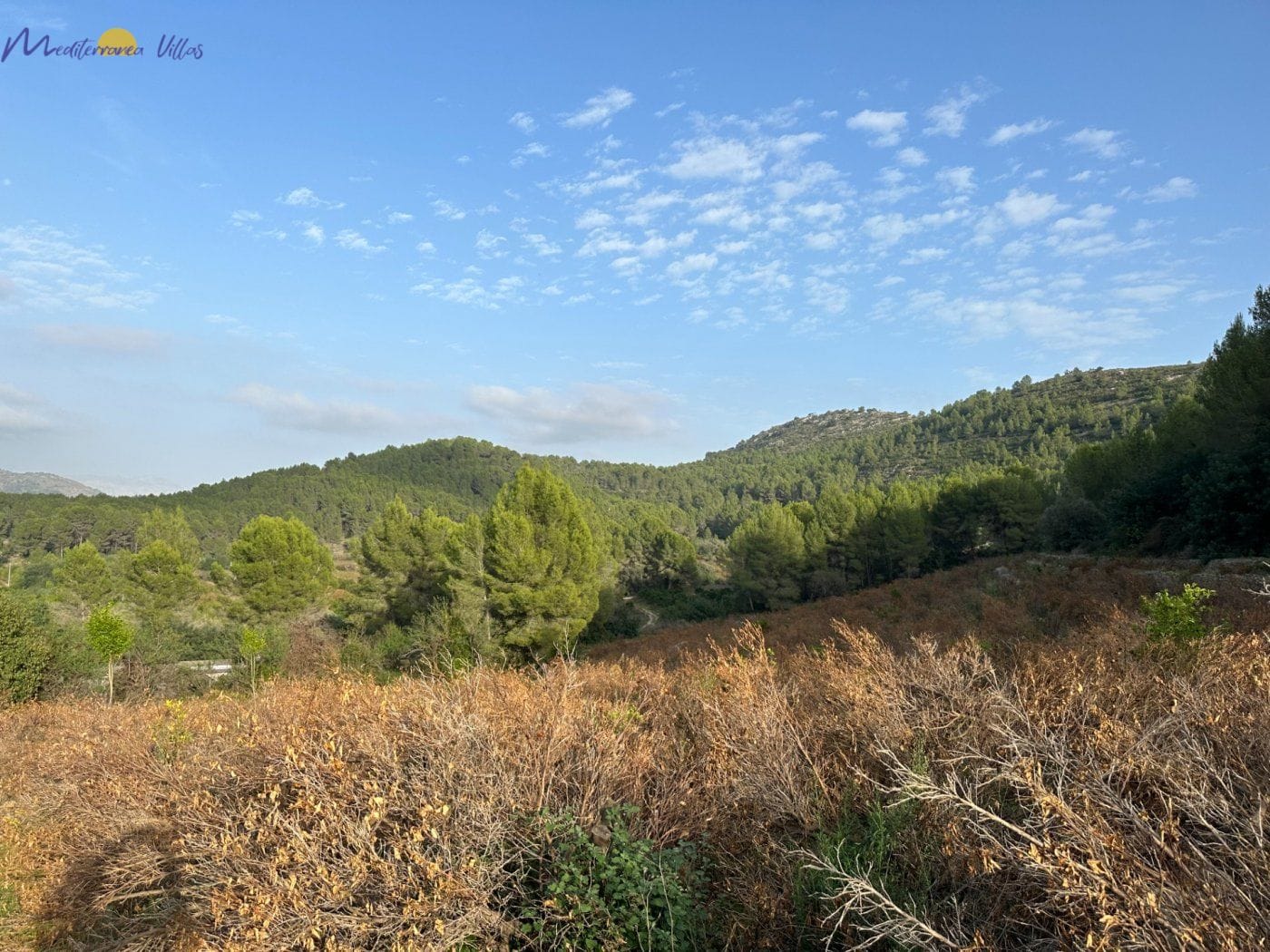Parcela en venta en Jalon