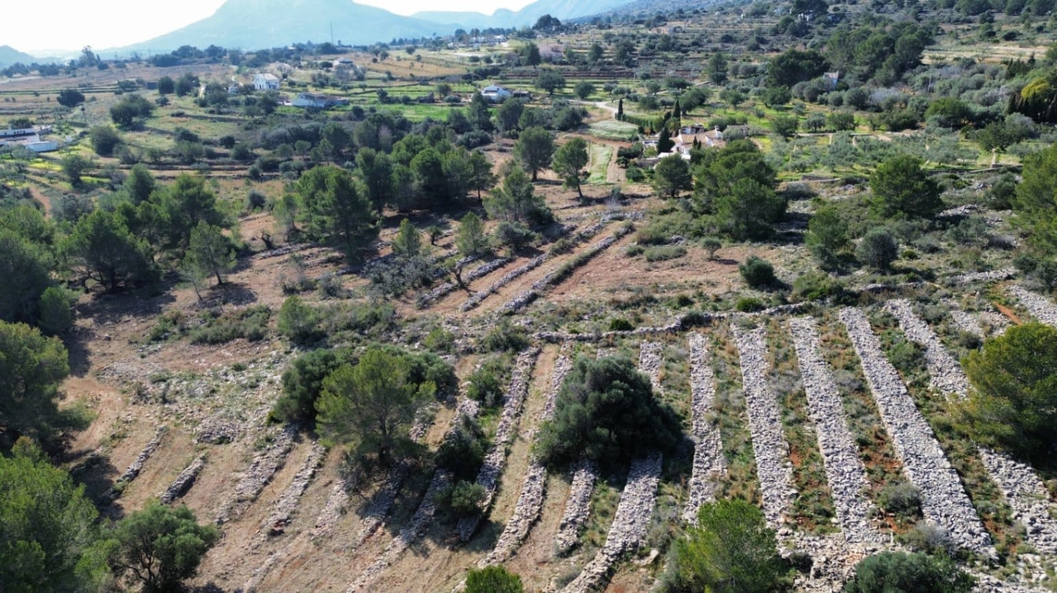 Enorme terreno en Benissa