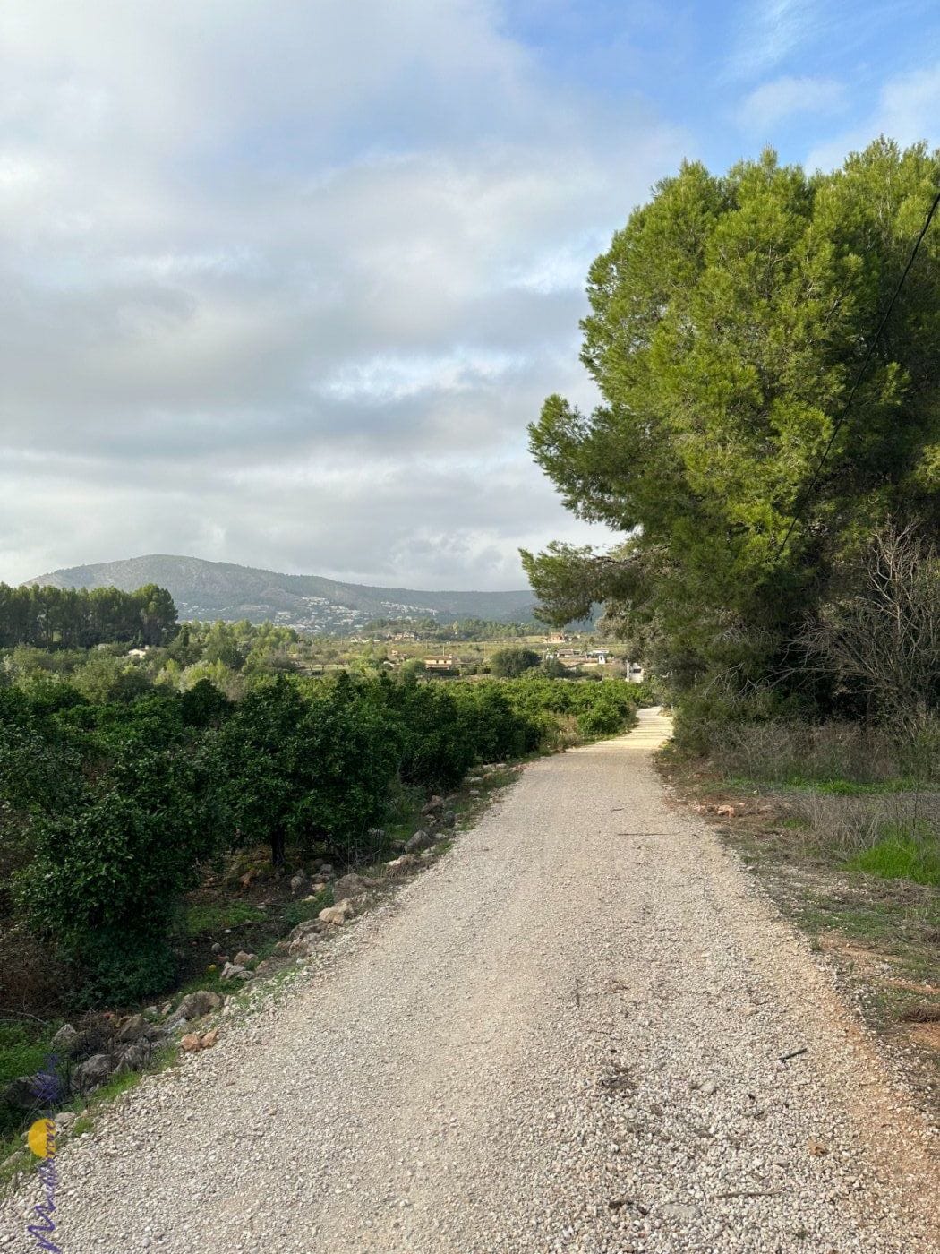 Plaot de terreno en venta en Jalón