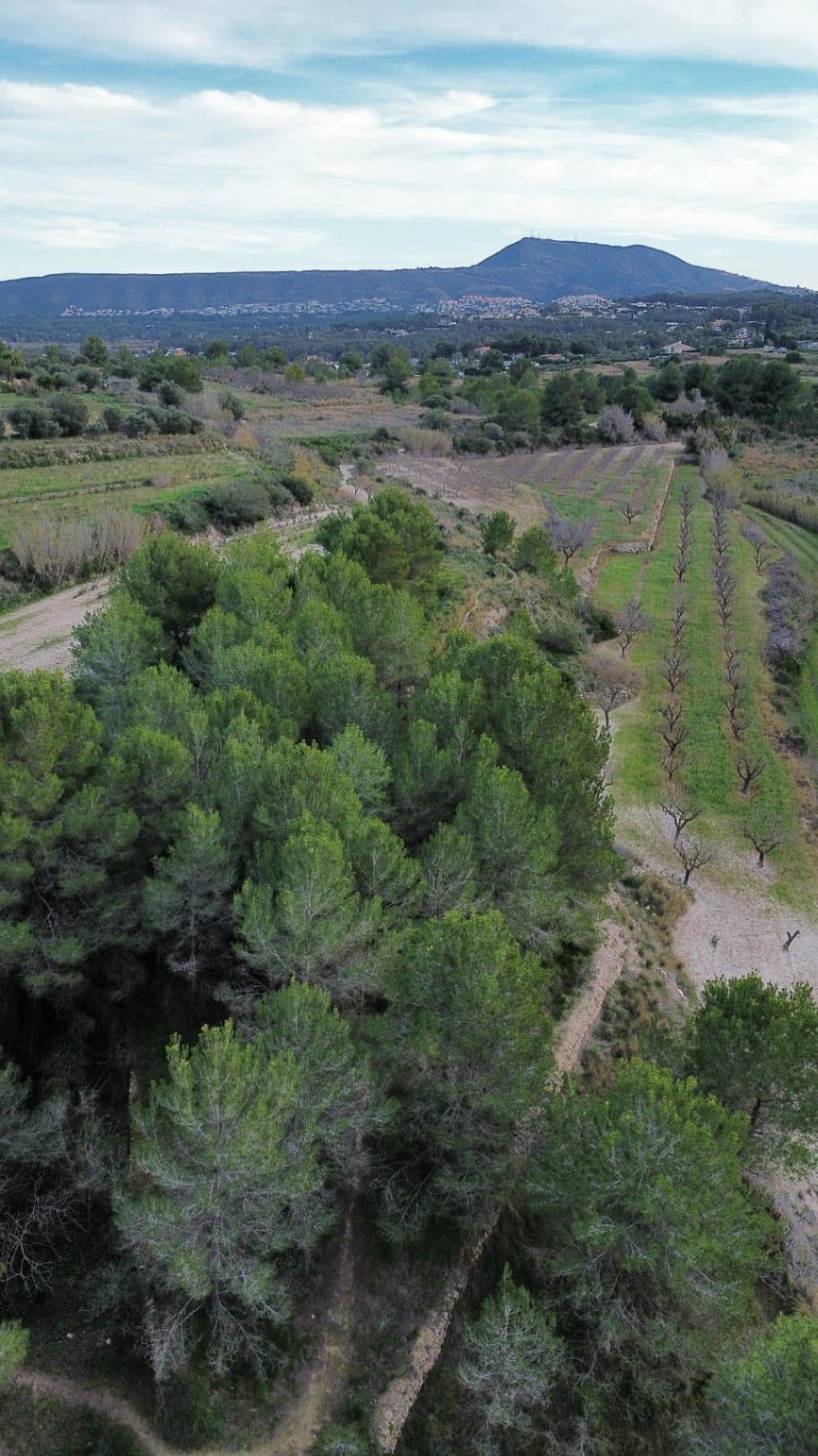 Parcela en venta en Javea