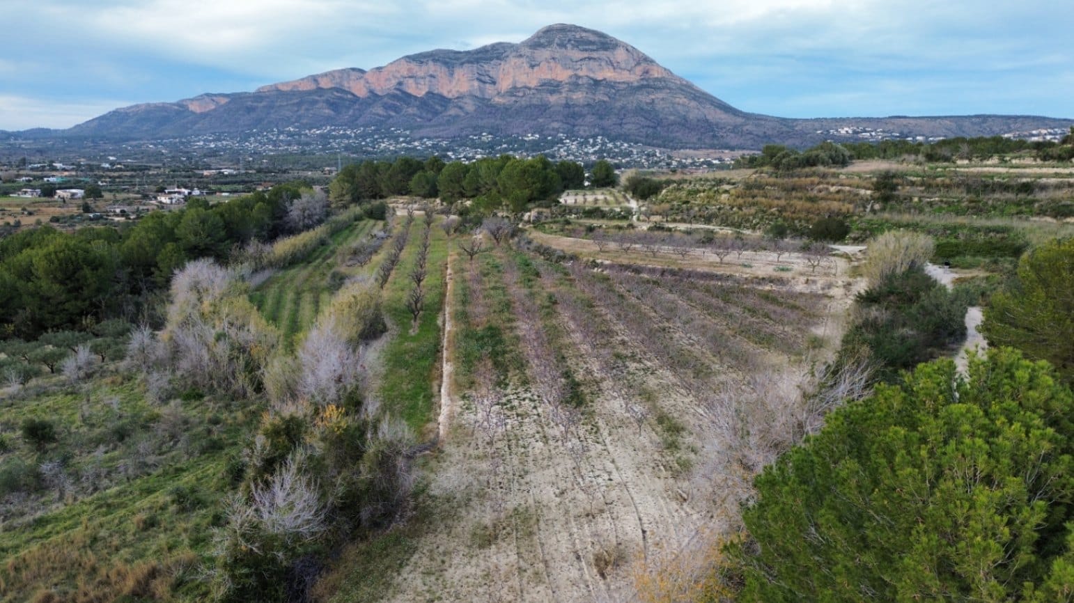 Parcela en venta en Javea