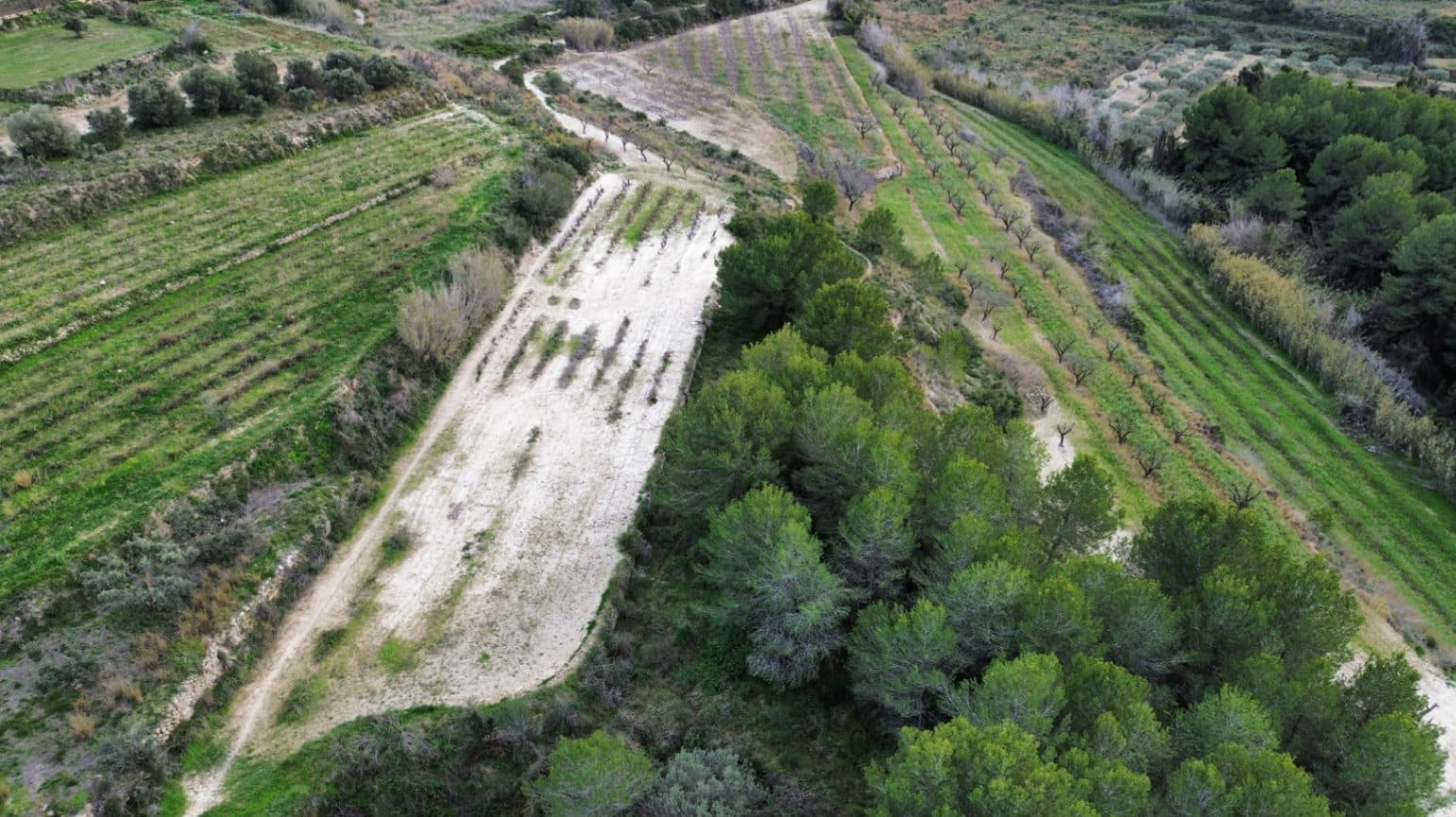 Parcela en venta en Javea