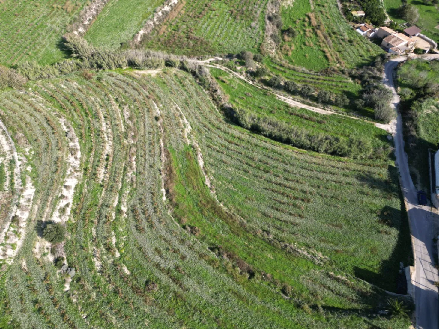 Terreno rústico en venta en Teulada
