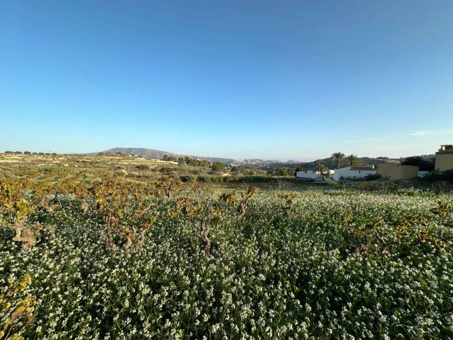 Terreno rústico en venta en Teulada