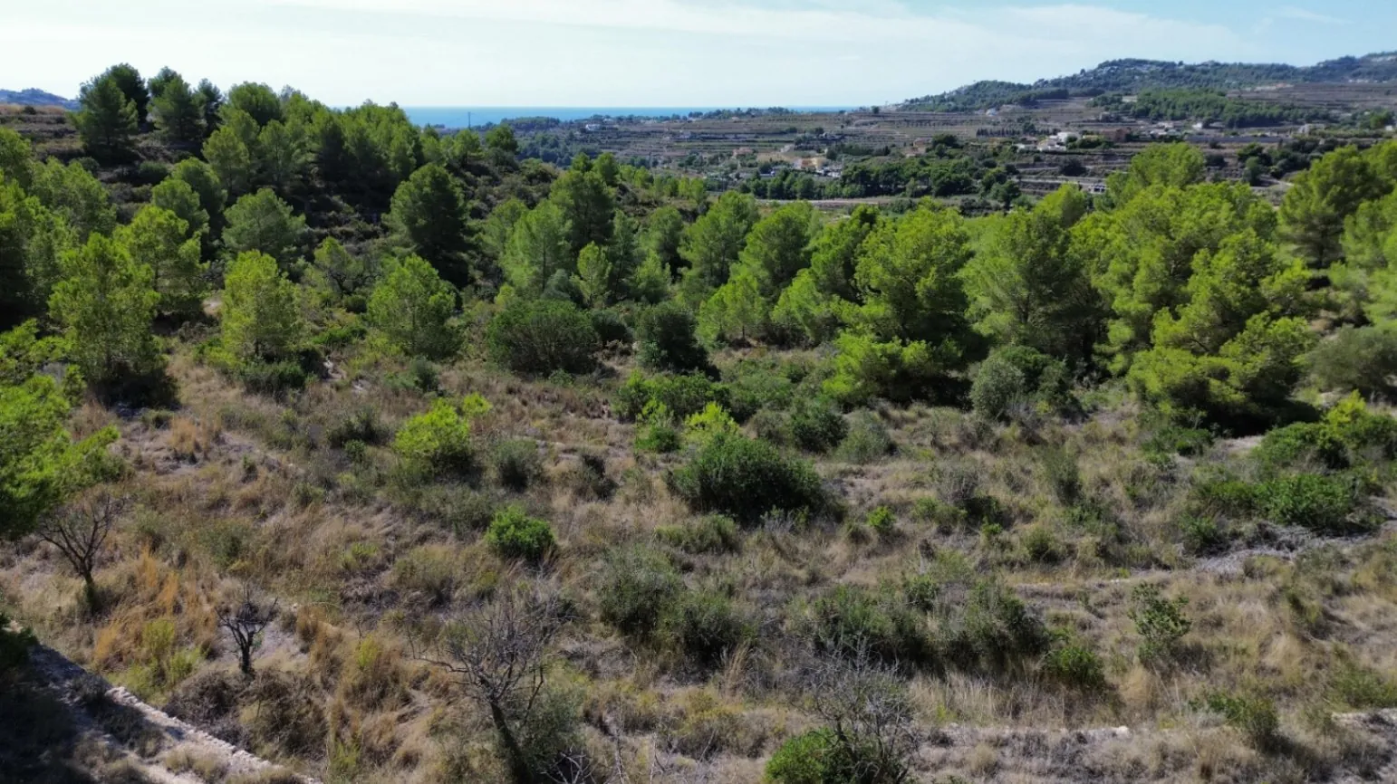 Terreno Rústico en Venta en Teulada – Construya una Villa de hasta 400m²