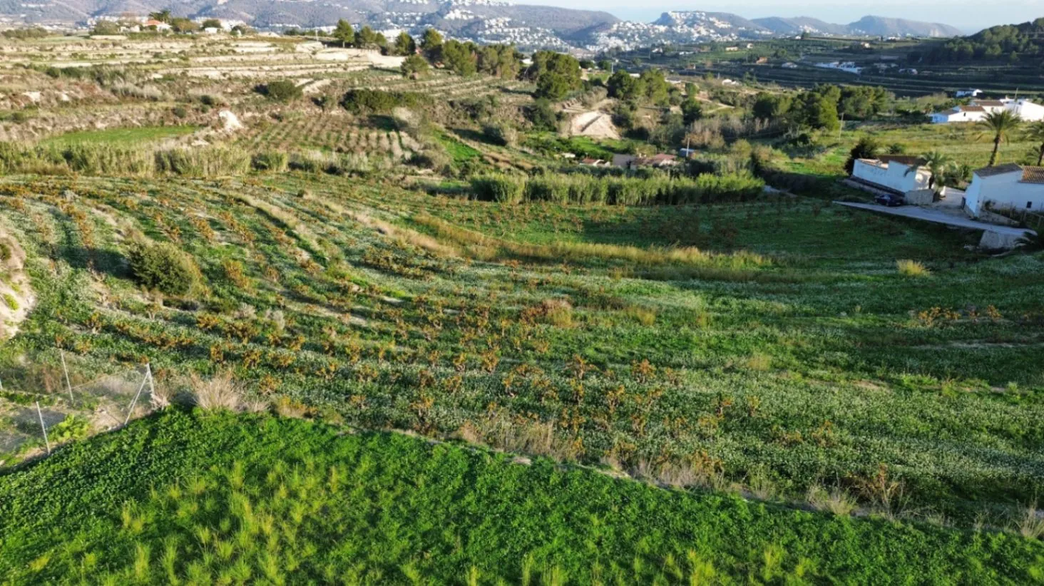 Terreno rústico en venta en Teulada