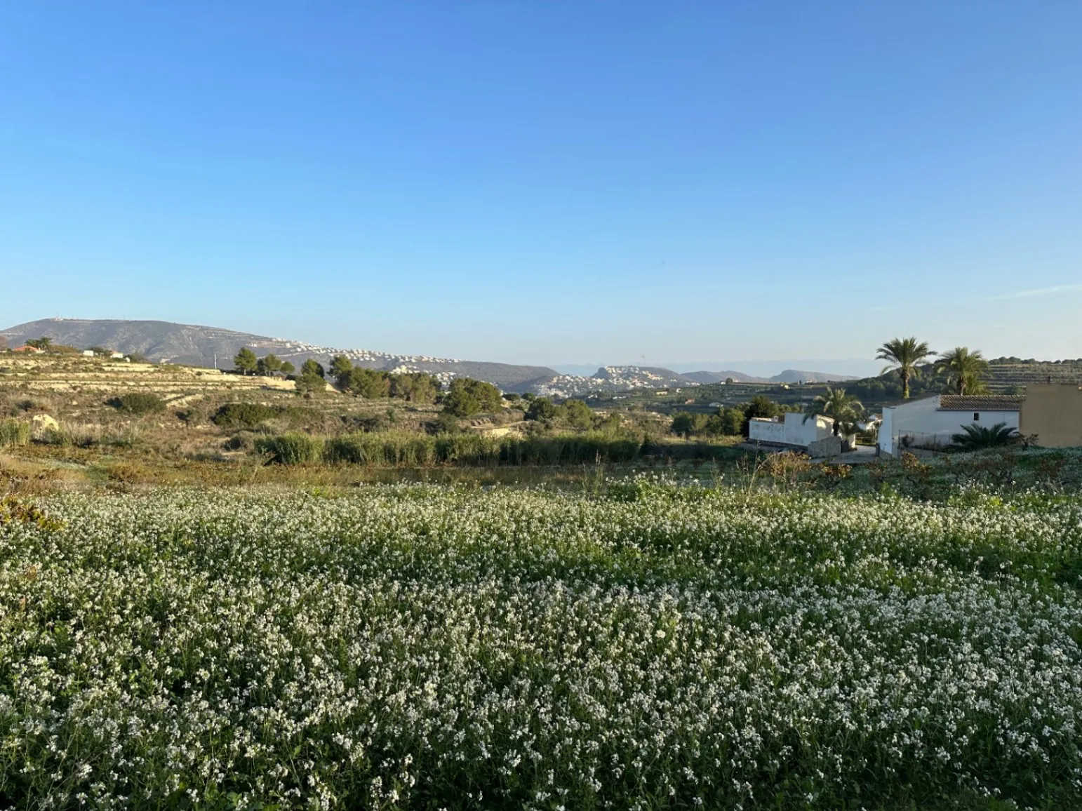 Terreno rústico en venta en Teulada