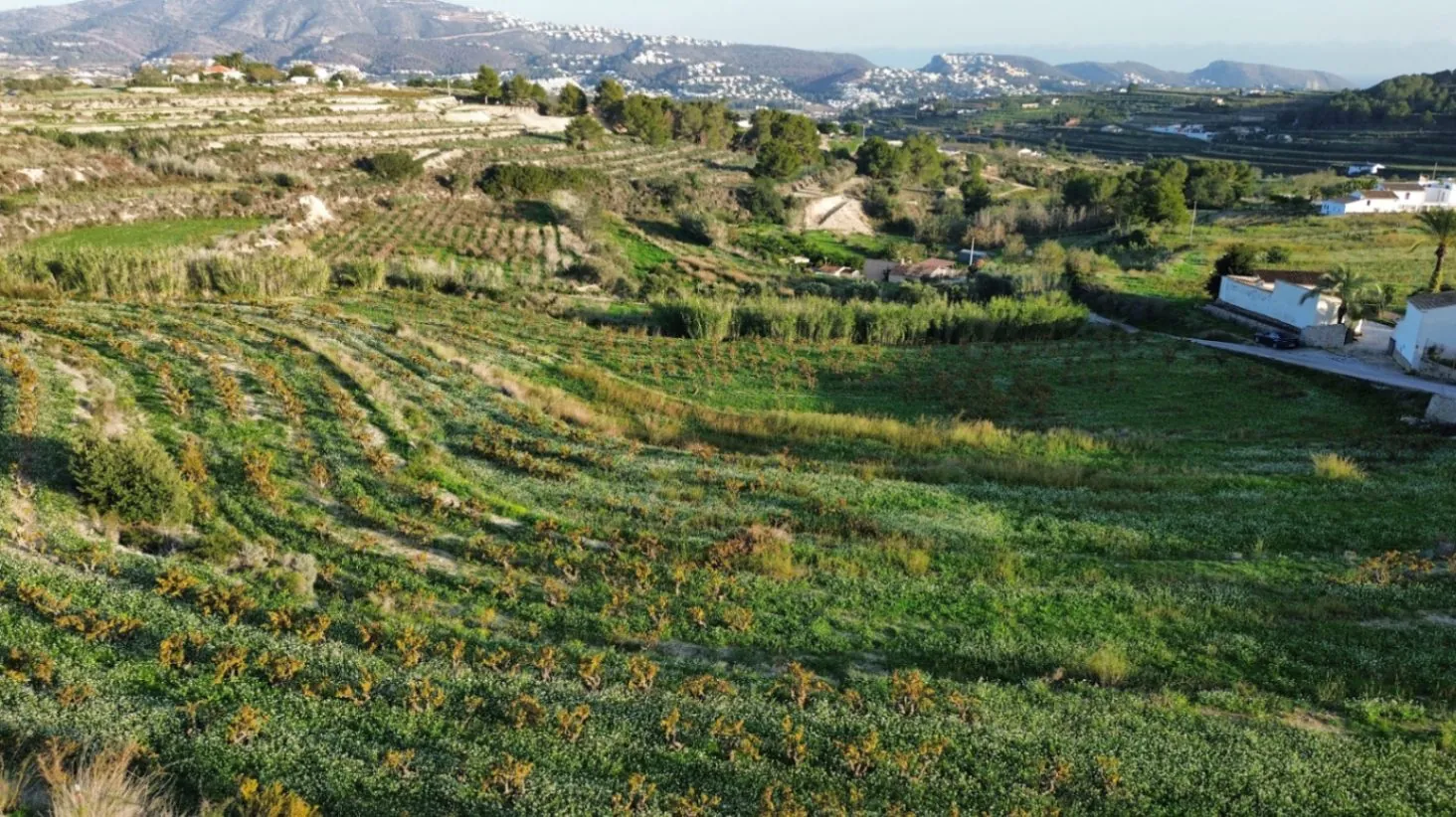 Terreno rústico en venta en Teulada