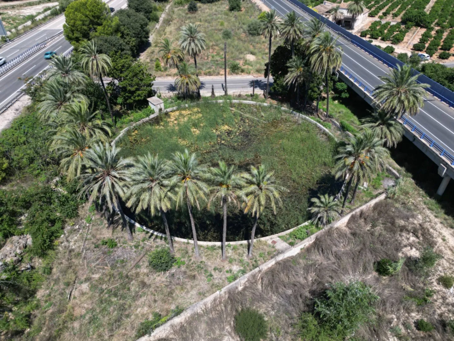 Finca en Venta cerca de Ondara: 60,000 m² de Terreno con Naranjal y Potencial para Nuevos Desarrollos