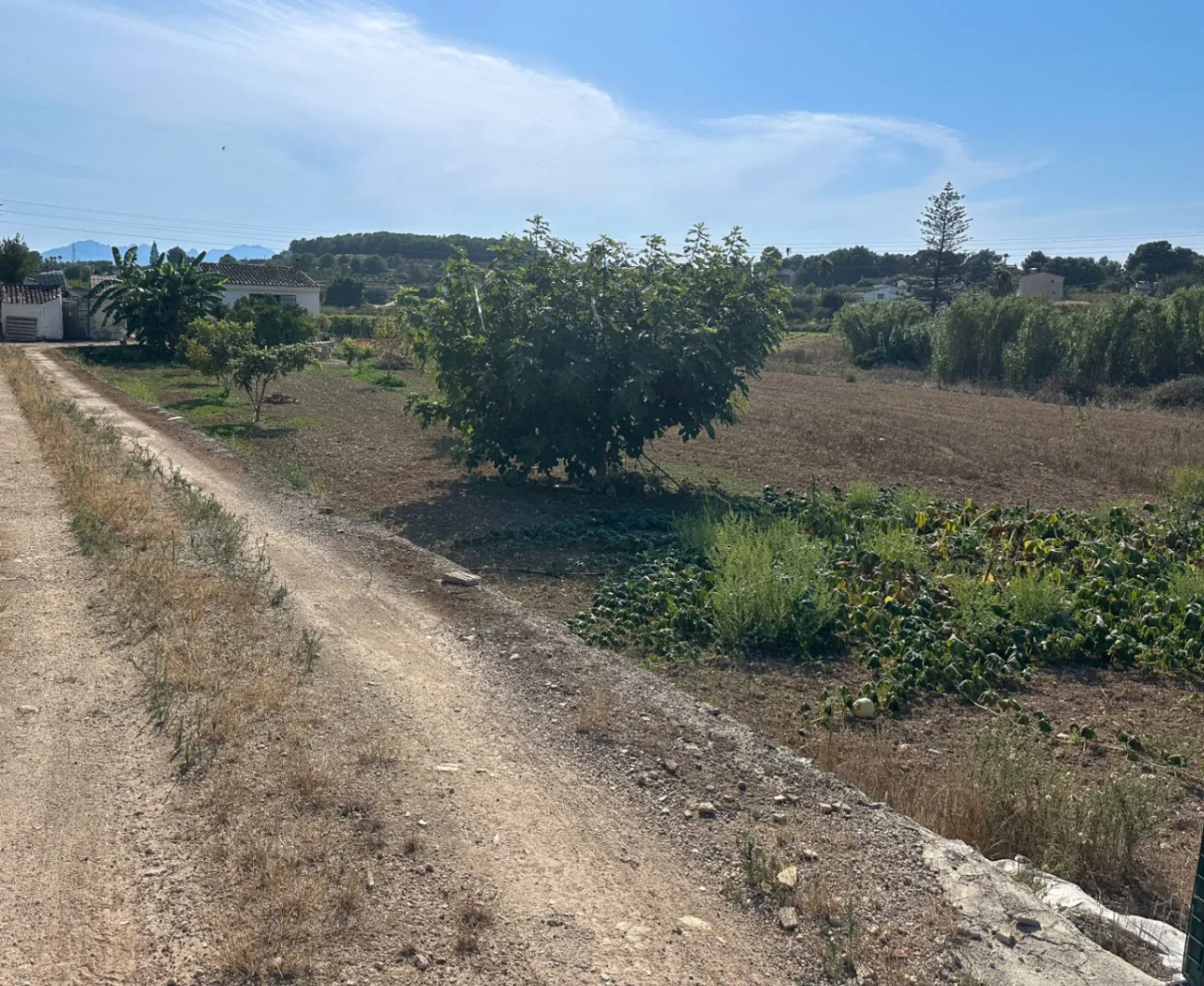 CASA AGRÍCOLA EN VENTA EN TEULADA