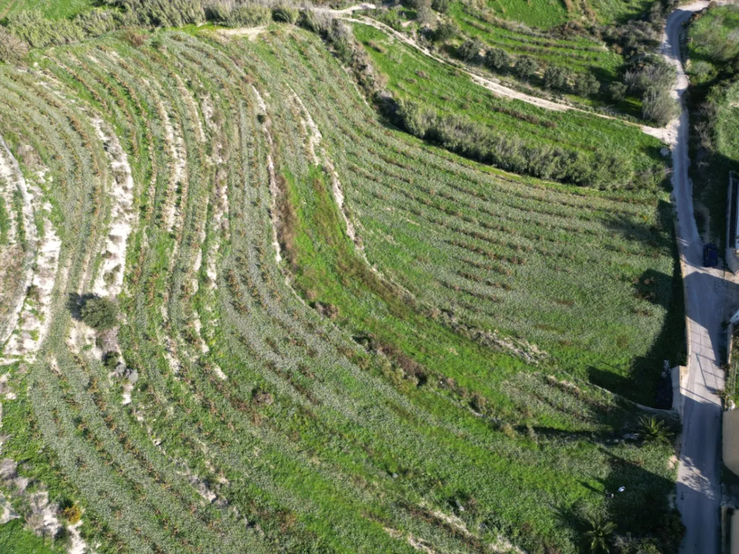 Terreno rústico en venta en Teulada