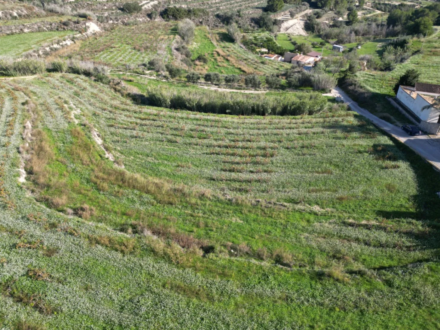 Terreno rústico en venta en Teulada