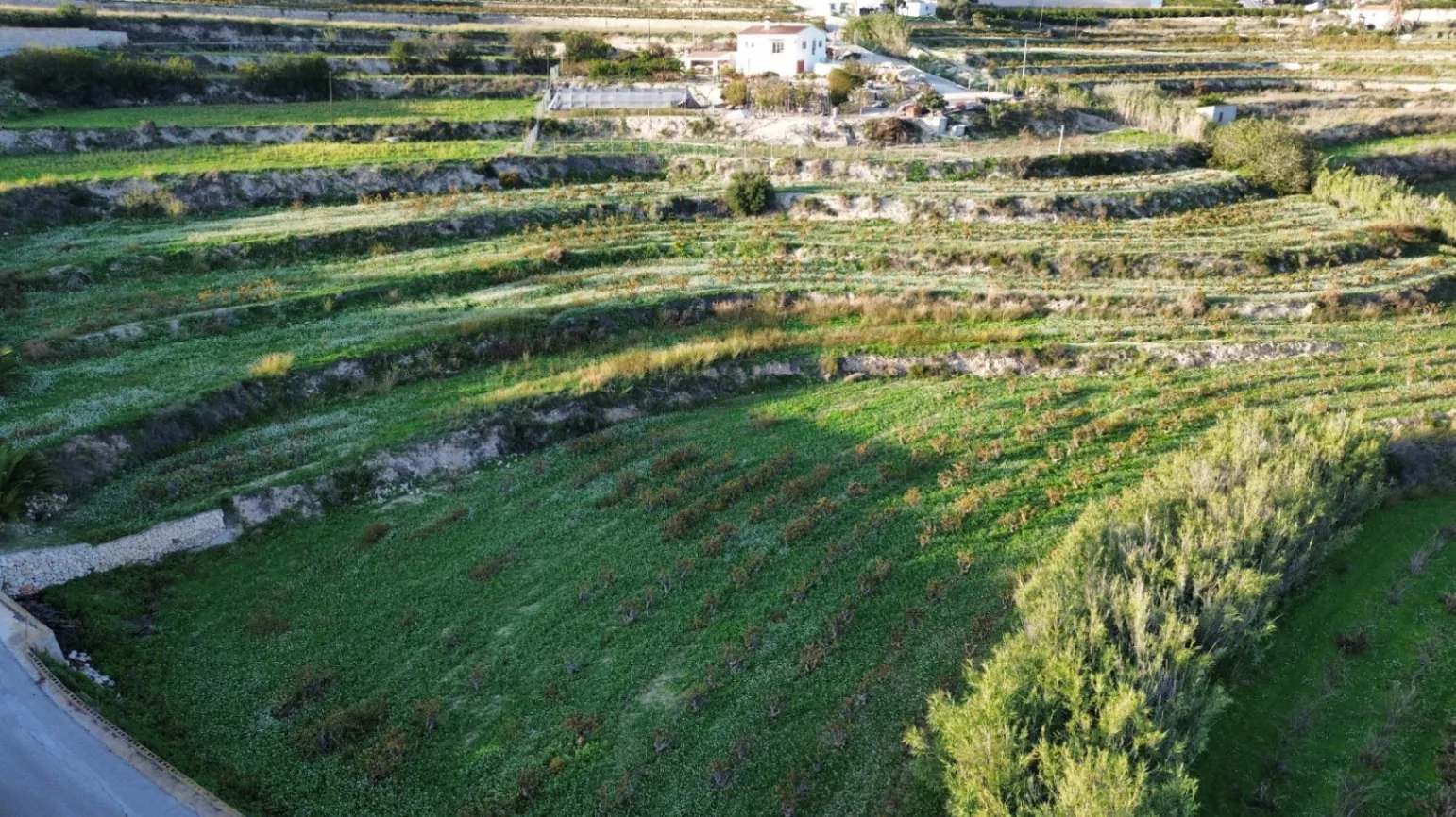 Terreno rústico en venta en Teulada