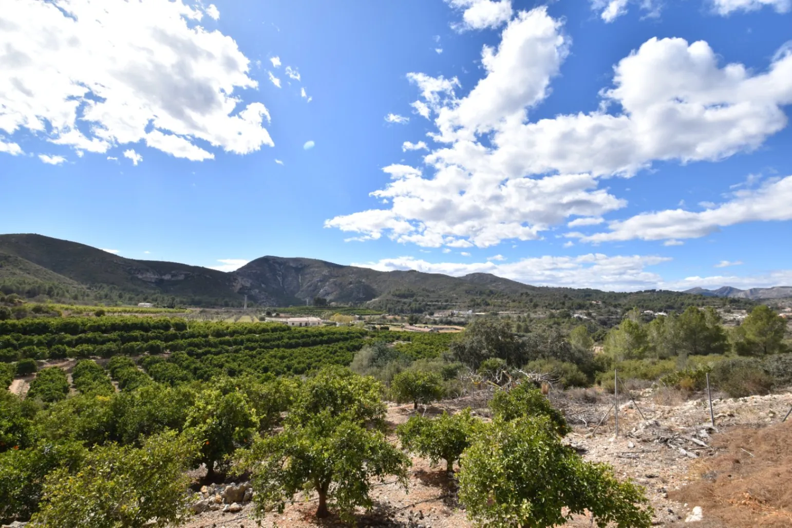 Finca en venta en Denia
