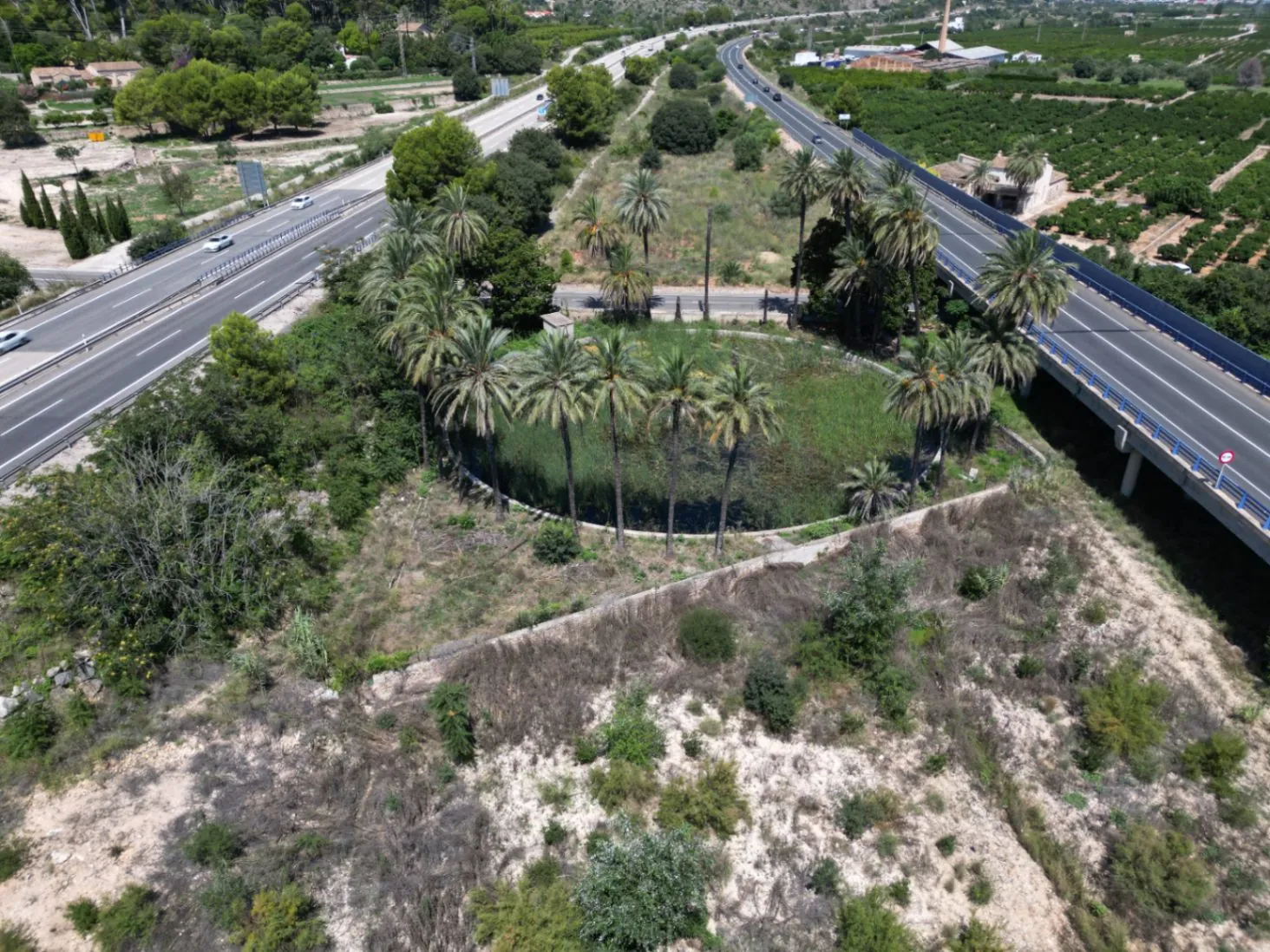 Finca en Venta cerca de Ondara: 60,000 m² de Terreno con Naranjal y Potencial para Nuevos Desarrollos
