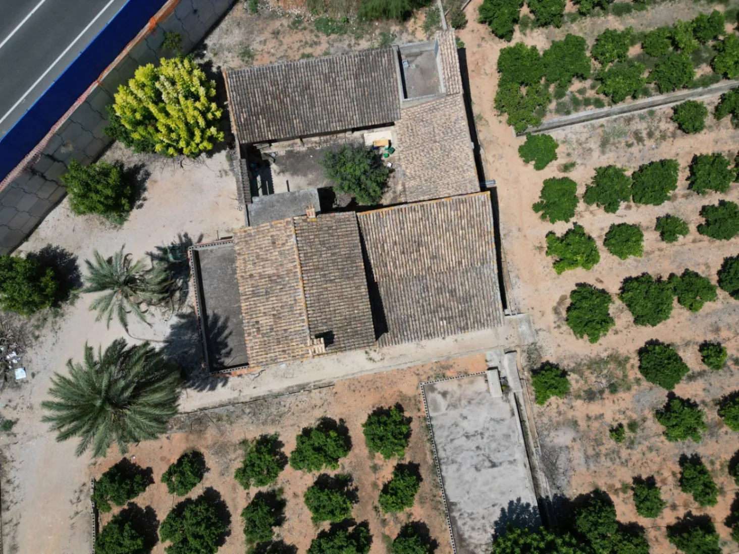 Finca en Venta cerca de Ondara: 60,000 m² de Terreno con Naranjal y Potencial para Nuevos Desarrollos