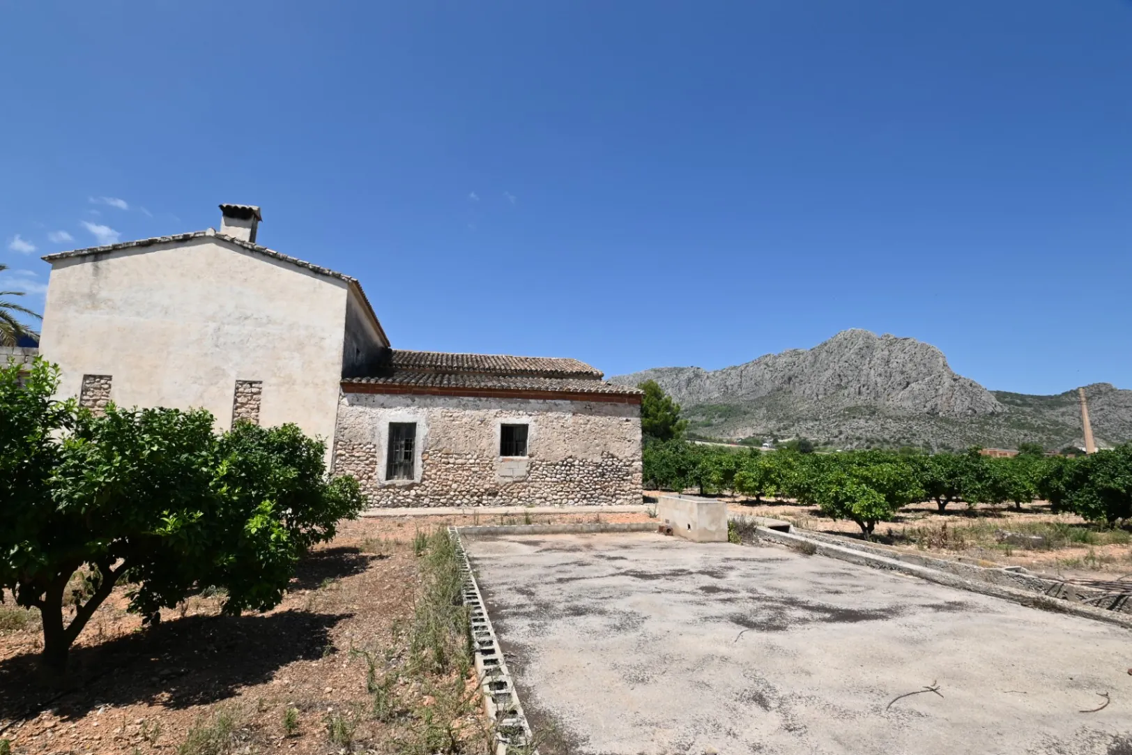 Finca en Venta cerca de Ondara: 60,000 m² de Terreno con Naranjal y Potencial para Nuevos Desarrollos