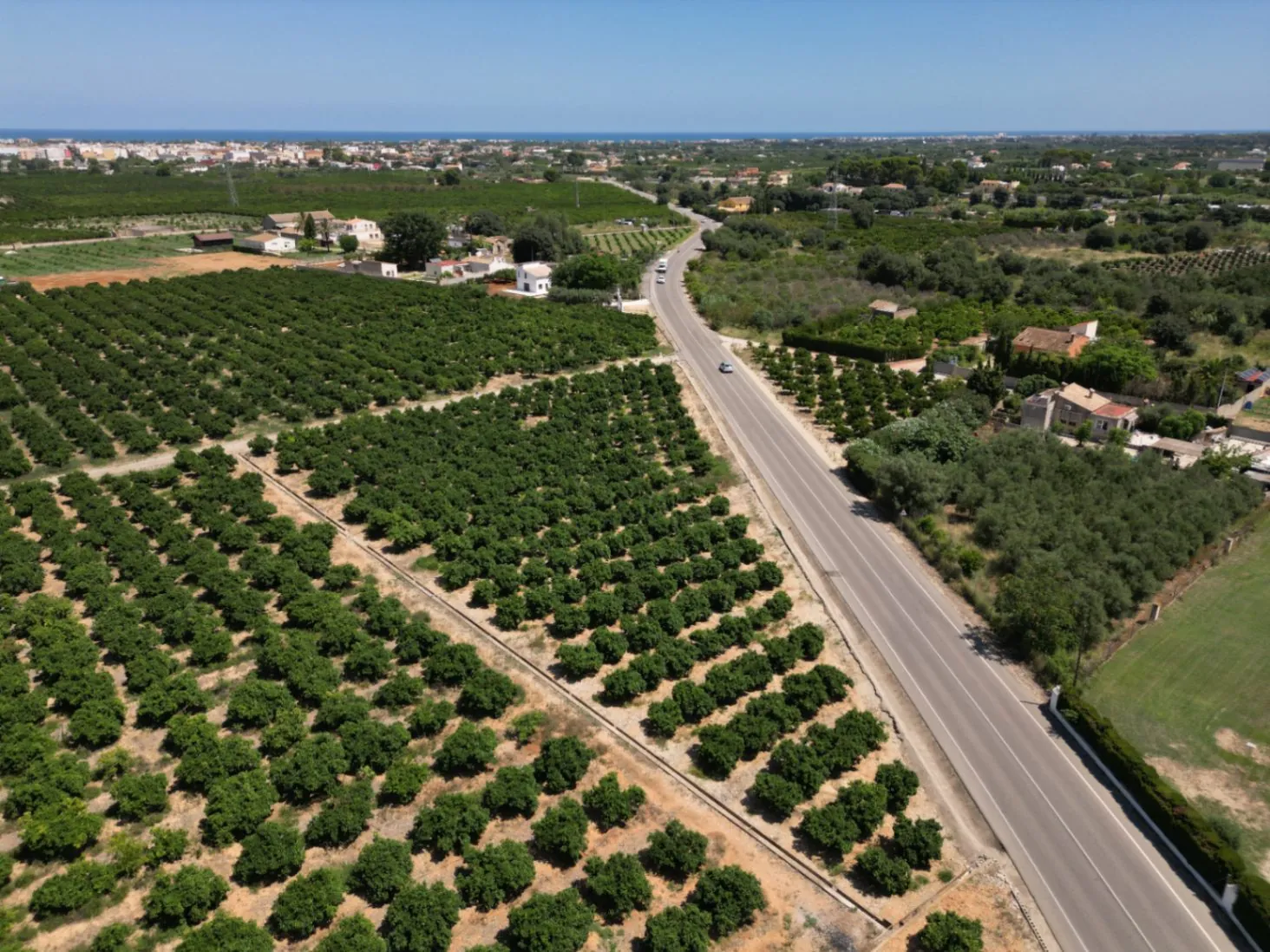 Finca en Venta cerca de Ondara: 60,000 m² de Terreno con Naranjal y Potencial para Nuevos Desarrollos