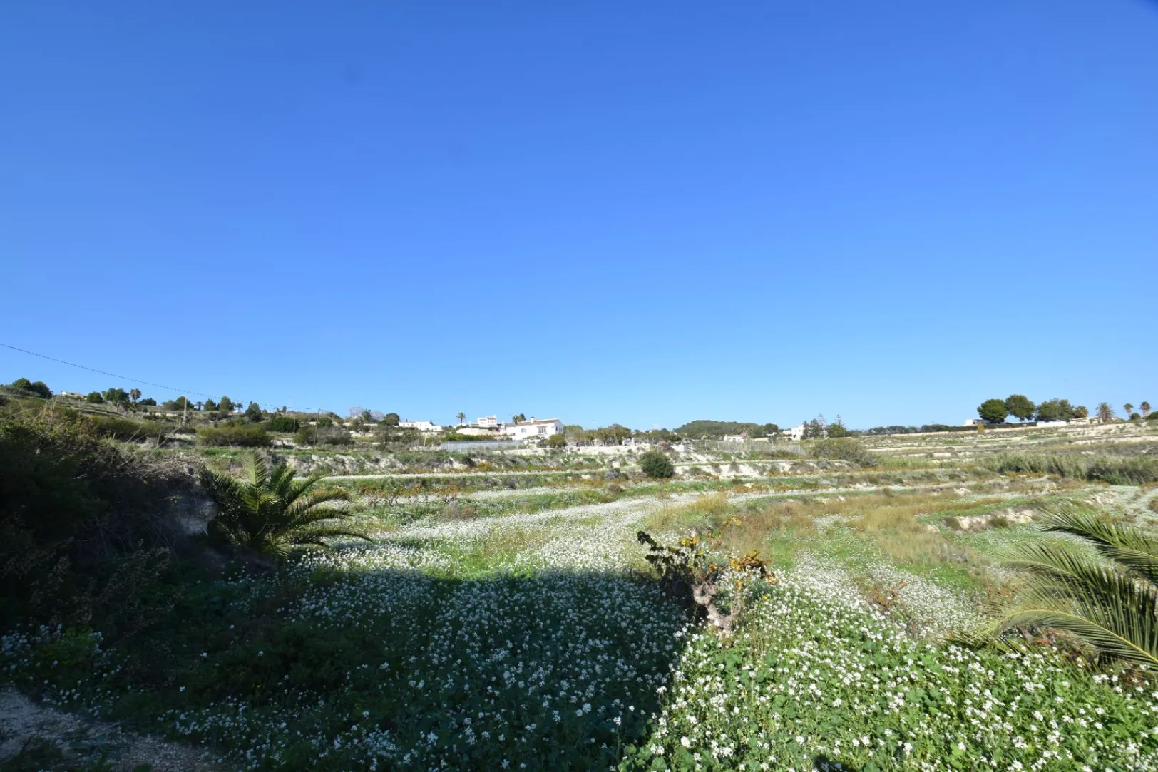 Terreno rústico en venta en Teulada