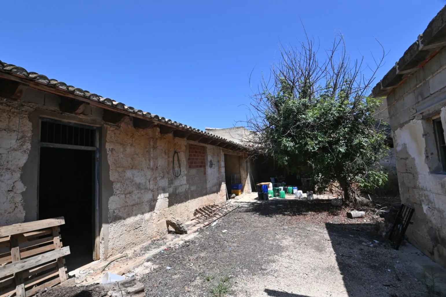 Finca en Venta cerca de Ondara: 60,000 m² de Terreno con Naranjal y Potencial para Nuevos Desarrollos