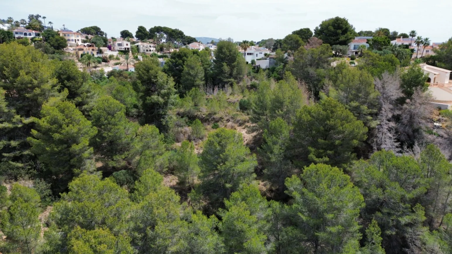 Terreno Urbano en Benissa Costa – Ideal para 20 Villas de Lujo o Proyecto Hotelero