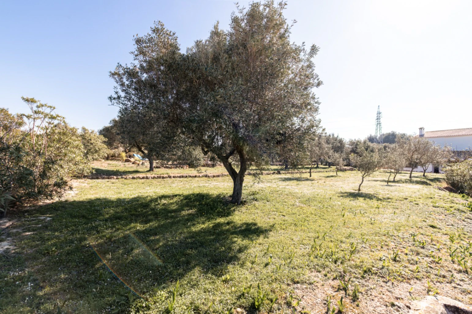 Encantadora Finca de 3 Dormitorios en Venta en Teulada