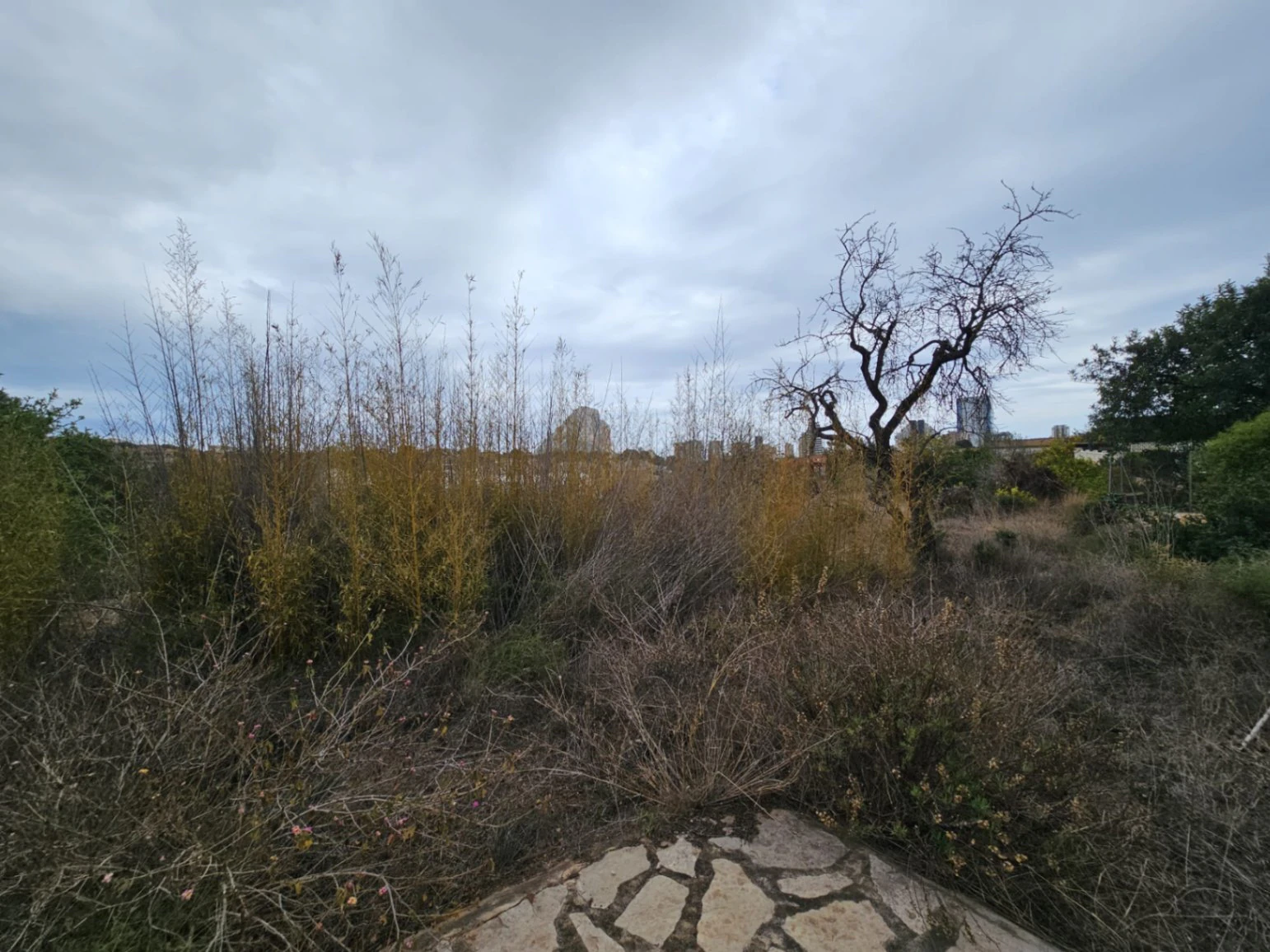 Finca en venta en Calpe con 4 habitaciones y piscina privada