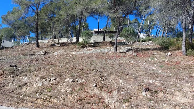 Parcela urbana en Olivella