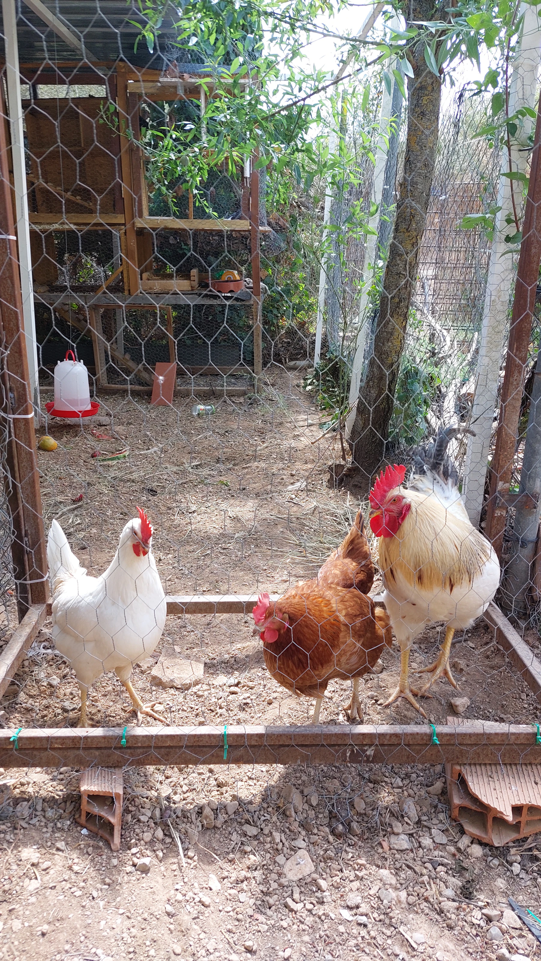 Refugio Familiar Ecológico Cerca de Sitges