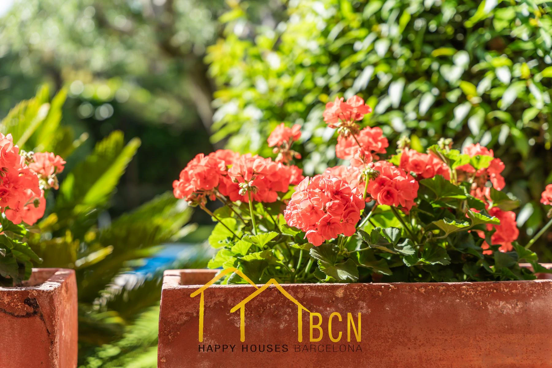 Villa mediterránea clásica con vistas al mar, piscina privada y jardín paisajístico en Vallpineda.