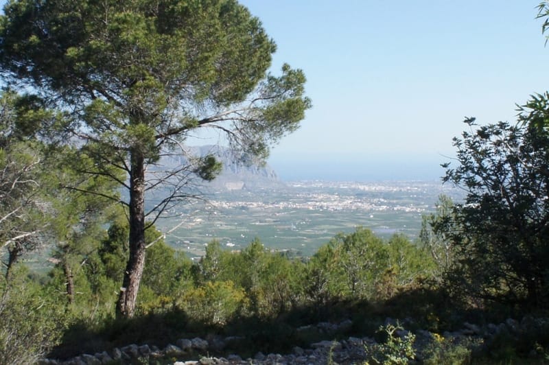 Gran finca en venta en Benidoleig