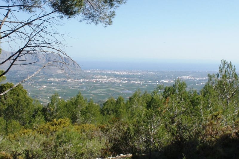 Gran finca en venta en Benidoleig