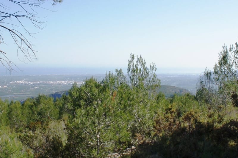 Gran finca en venta en Benidoleig