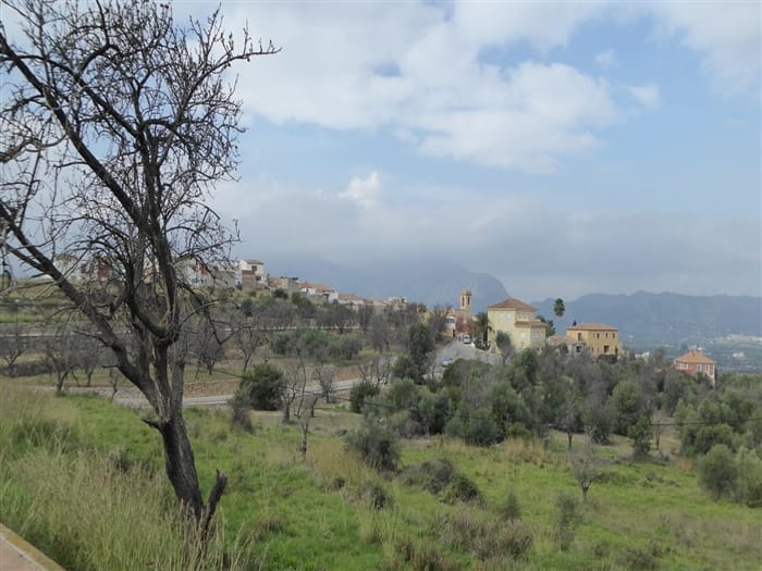 Solar edificable en venta en Alcalalí