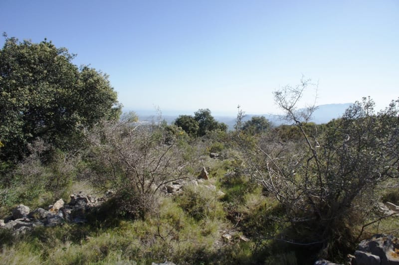 Gran finca en venta en Benidoleig