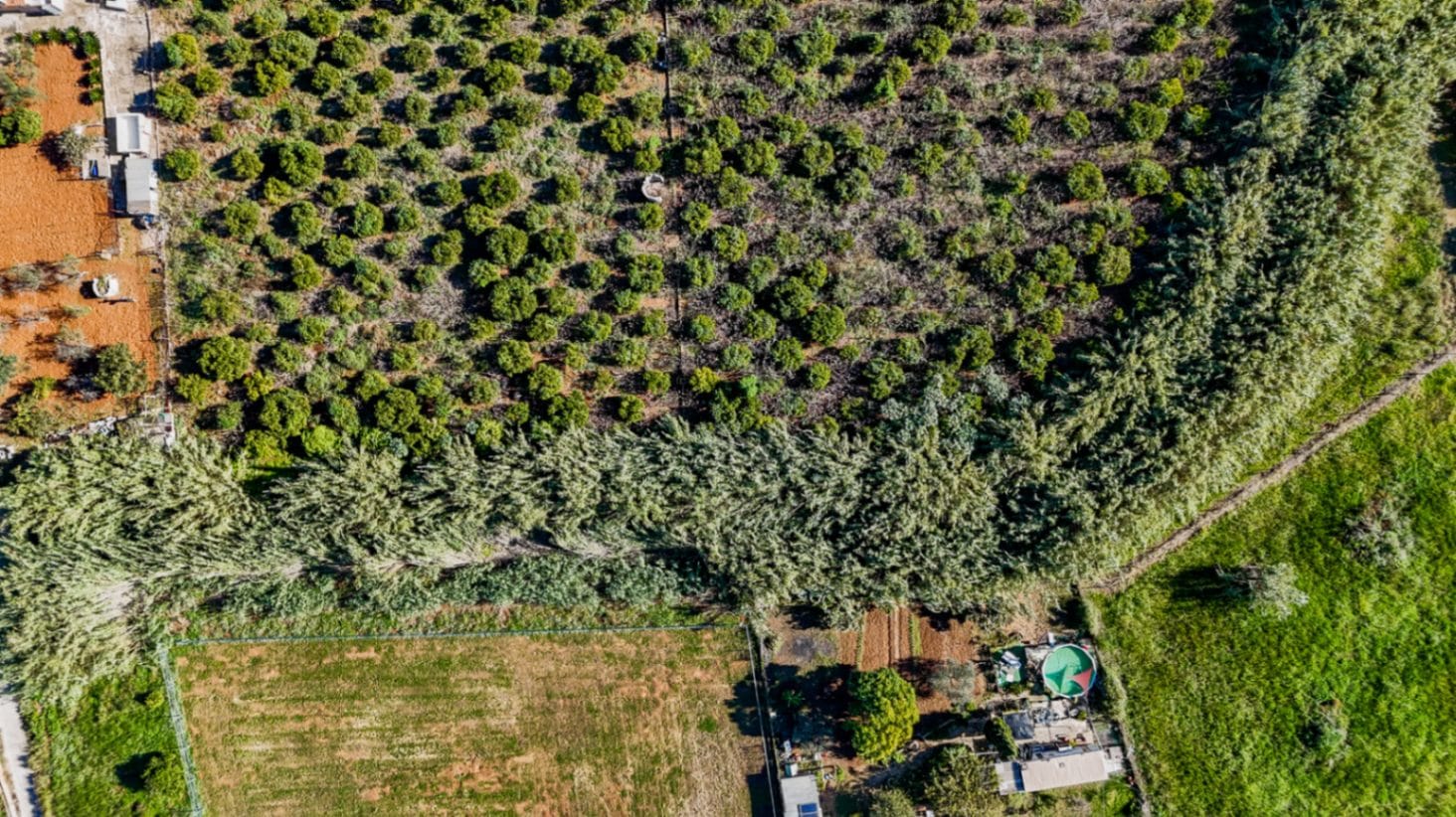 Gran finca rústica compuesta por dos casas y con cuadras para caballos.
