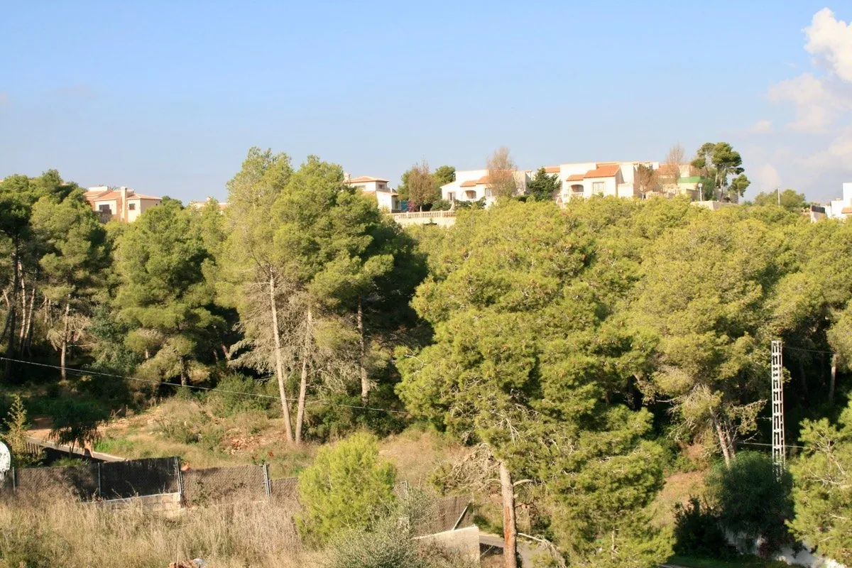 Parcela en Venta en Costa Nova La Marina Jávea