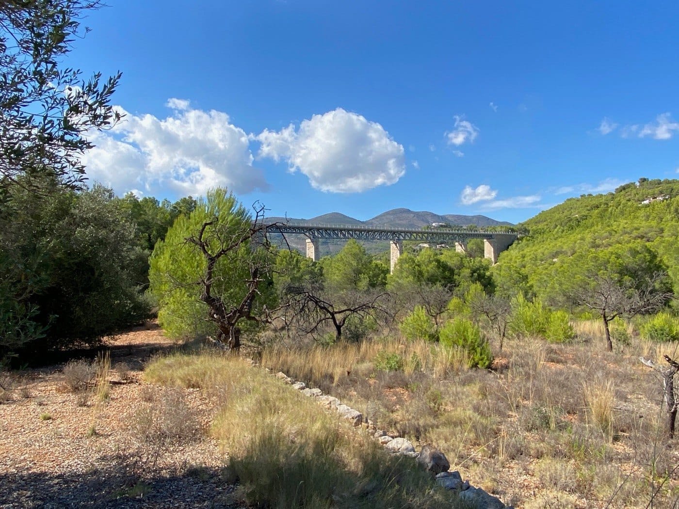 P104 - Rustikales Land gut gelegen, ziemlich flach, in ländlicher Gegend in der Nähe von Calpe.
