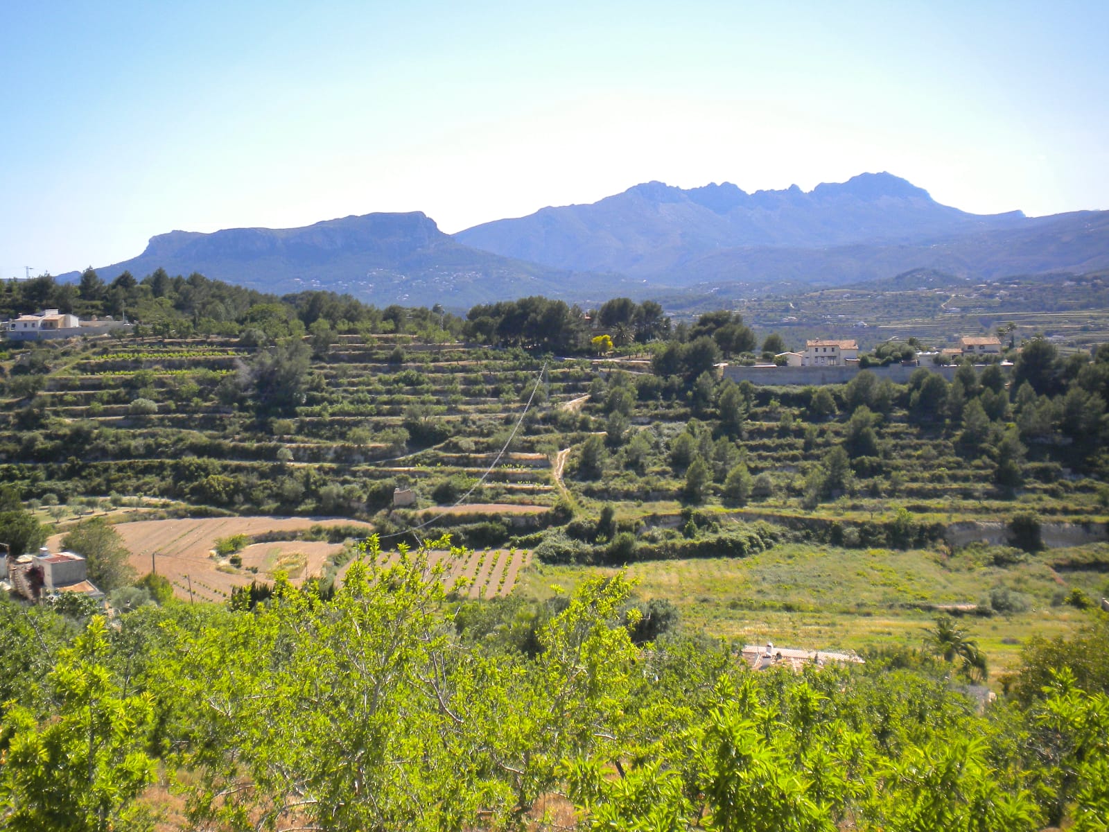 P114 - Large plot in Benissa