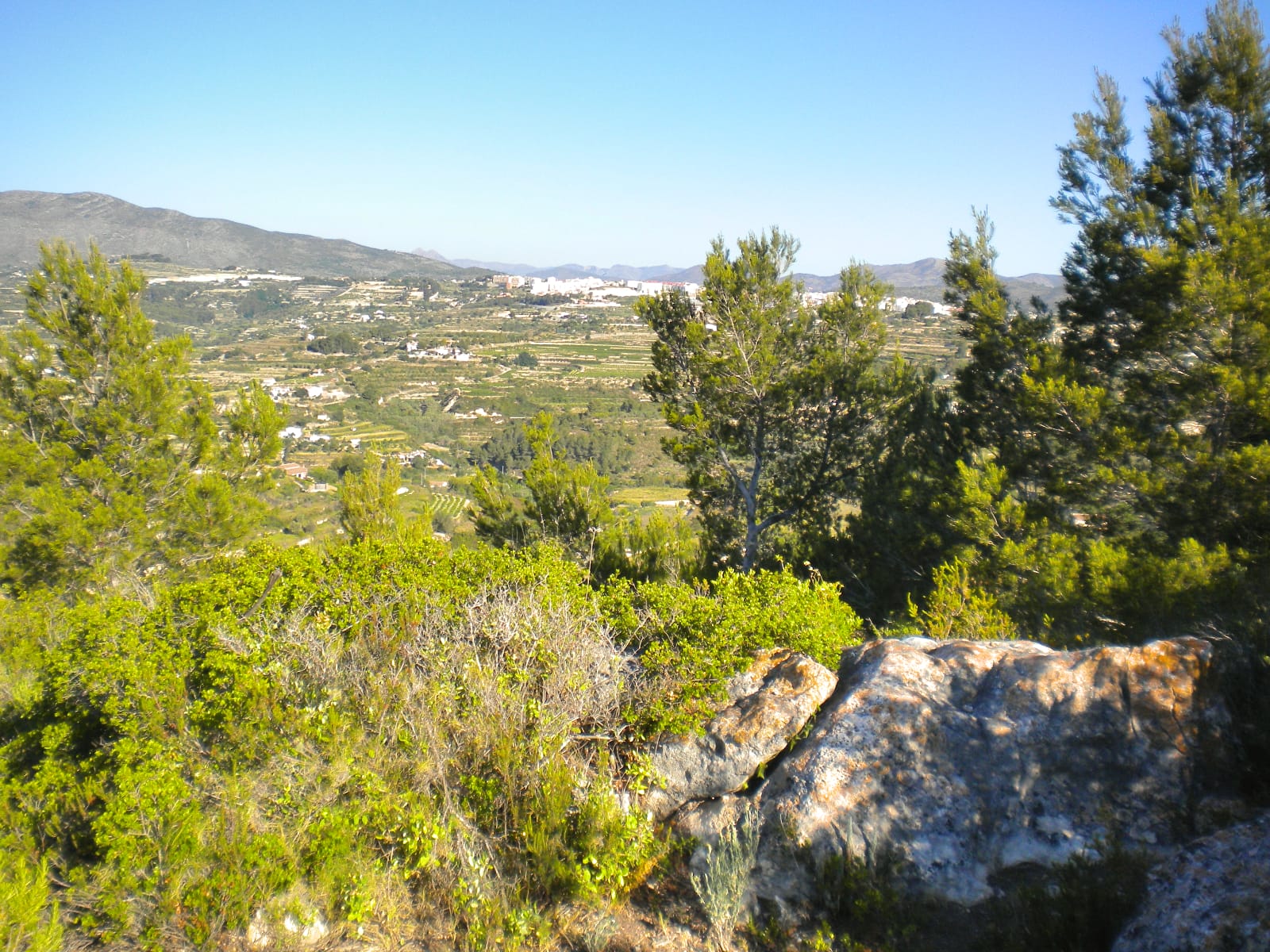 P114 - Large plot in Benissa