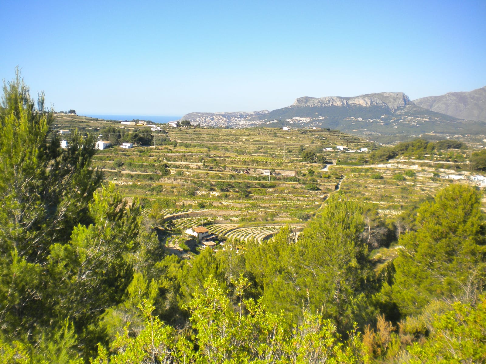 P114 - Large plot in Benissa