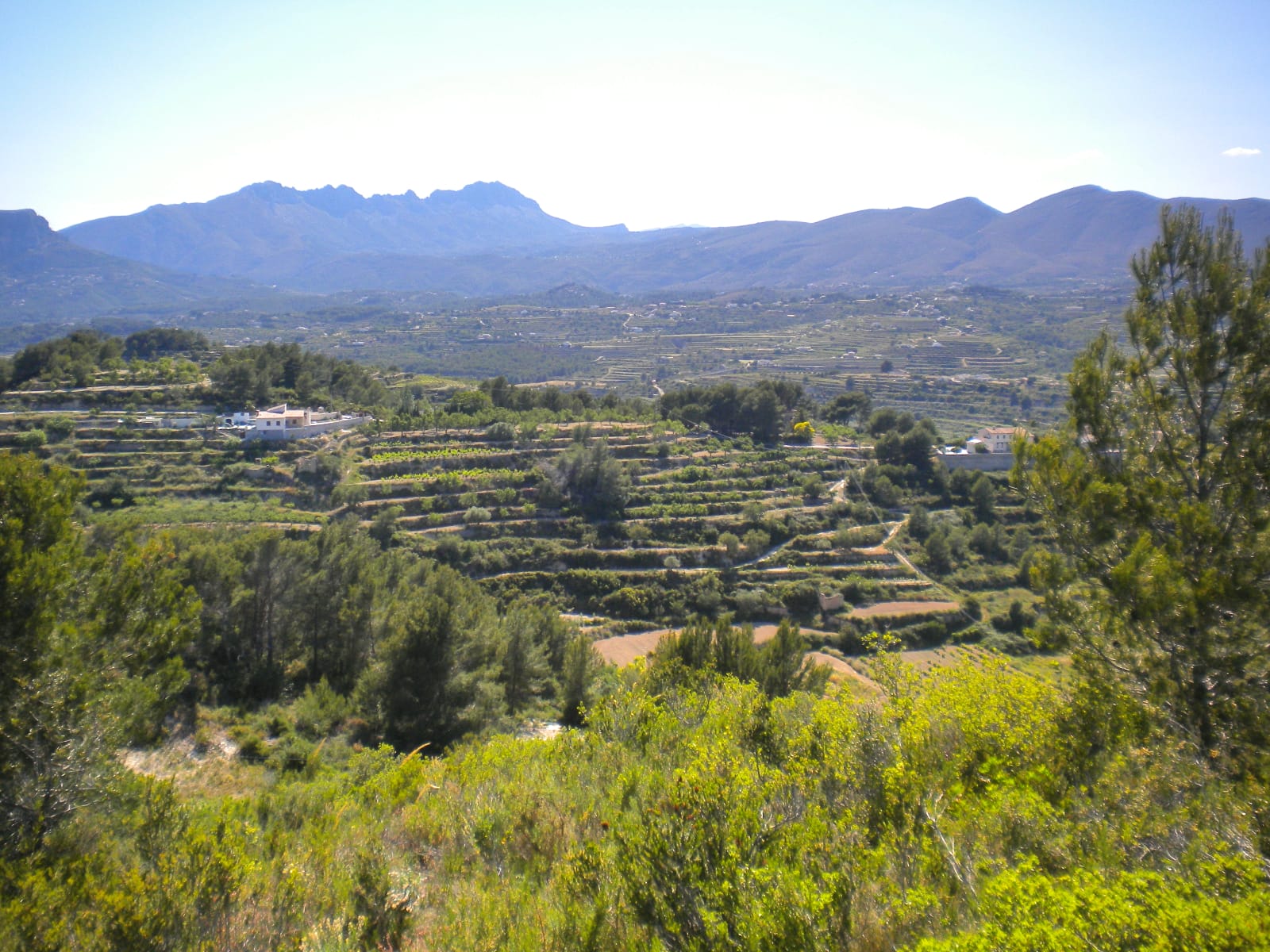 P114 - Large plot in Benissa