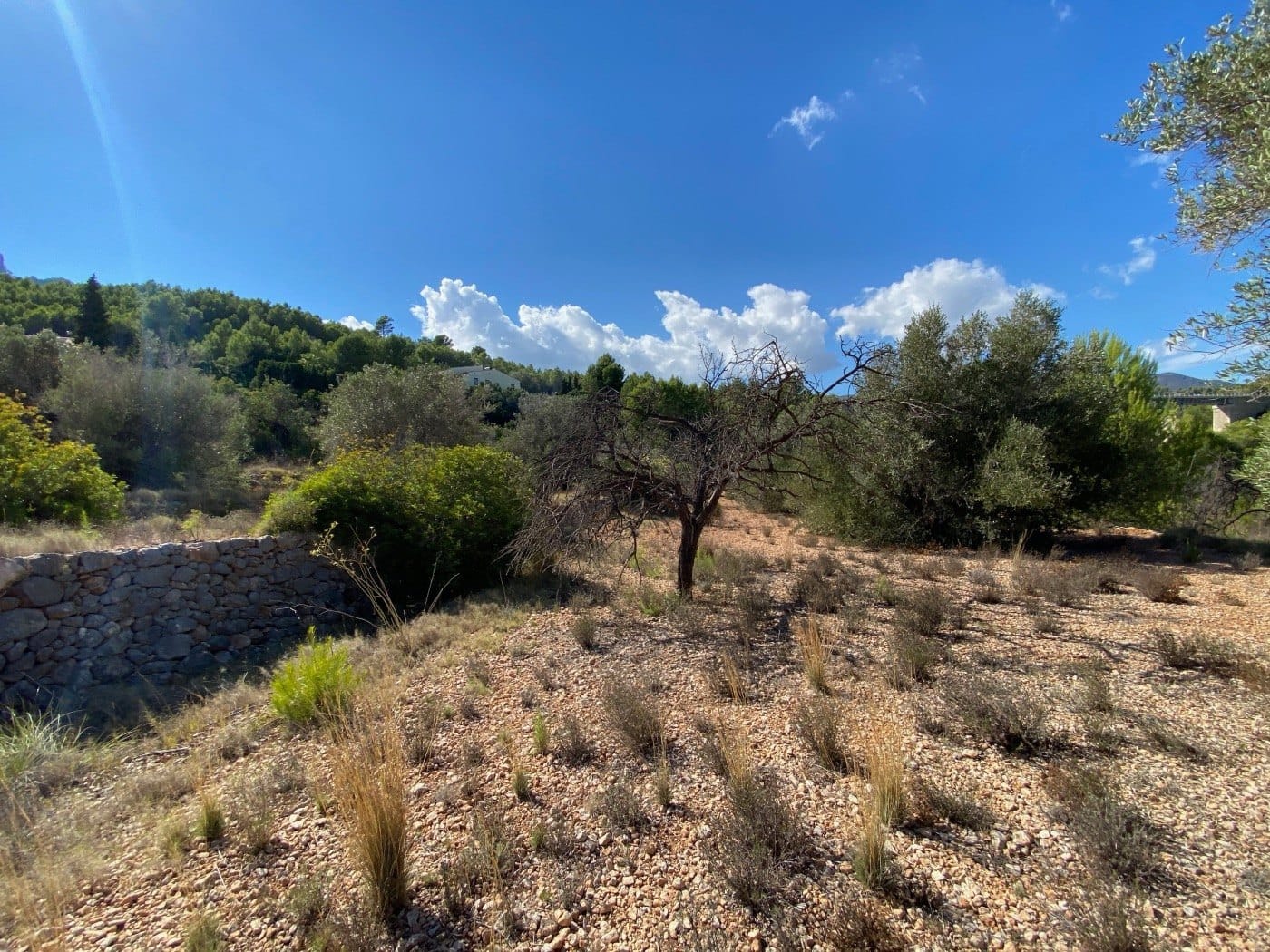 P104 - Rustikales Land gut gelegen, ziemlich flach, in ländlicher Gegend in der Nähe von Calpe.