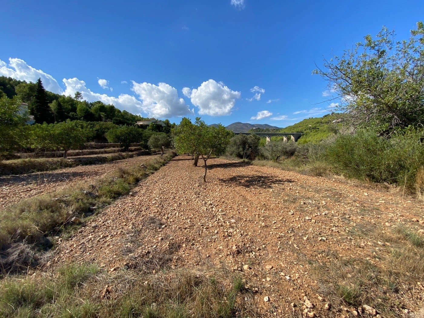 P104 - Rustikales Land gut gelegen, ziemlich flach, in ländlicher Gegend in der Nähe von Calpe.