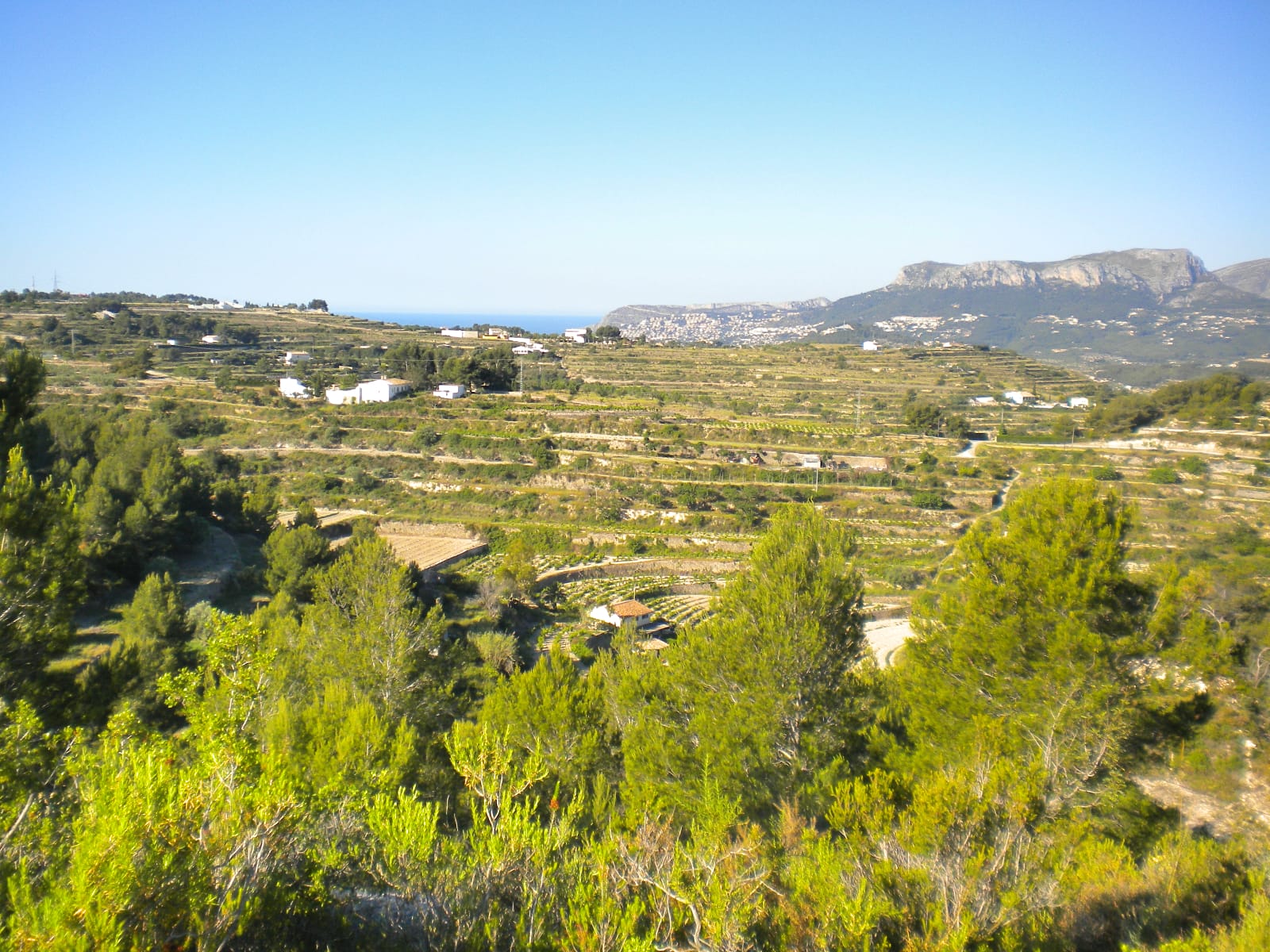 P114 - Large plot in Benissa
