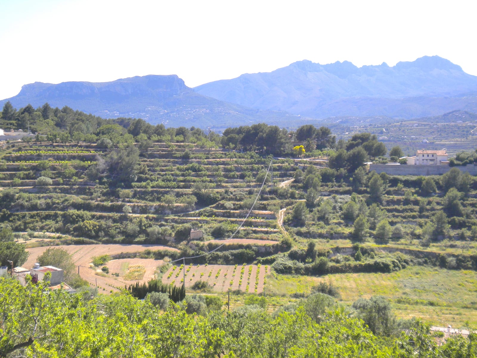 P114 - Large plot in Benissa